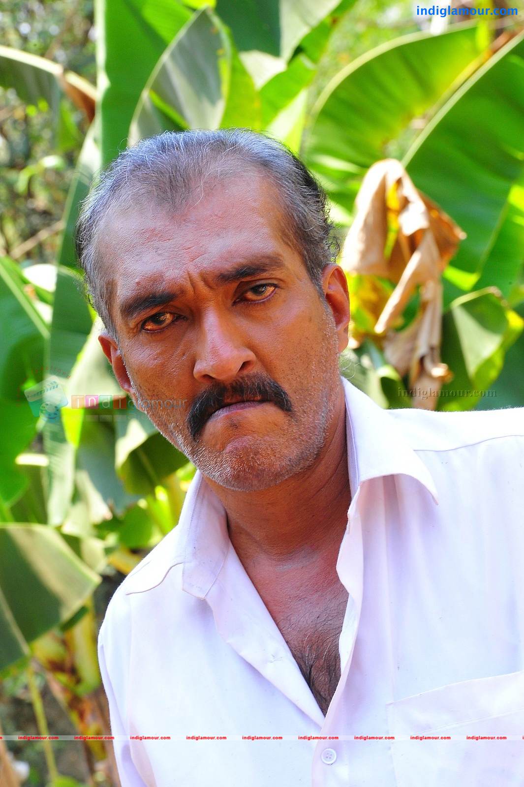 Sasi Kalinga Actor hd photo