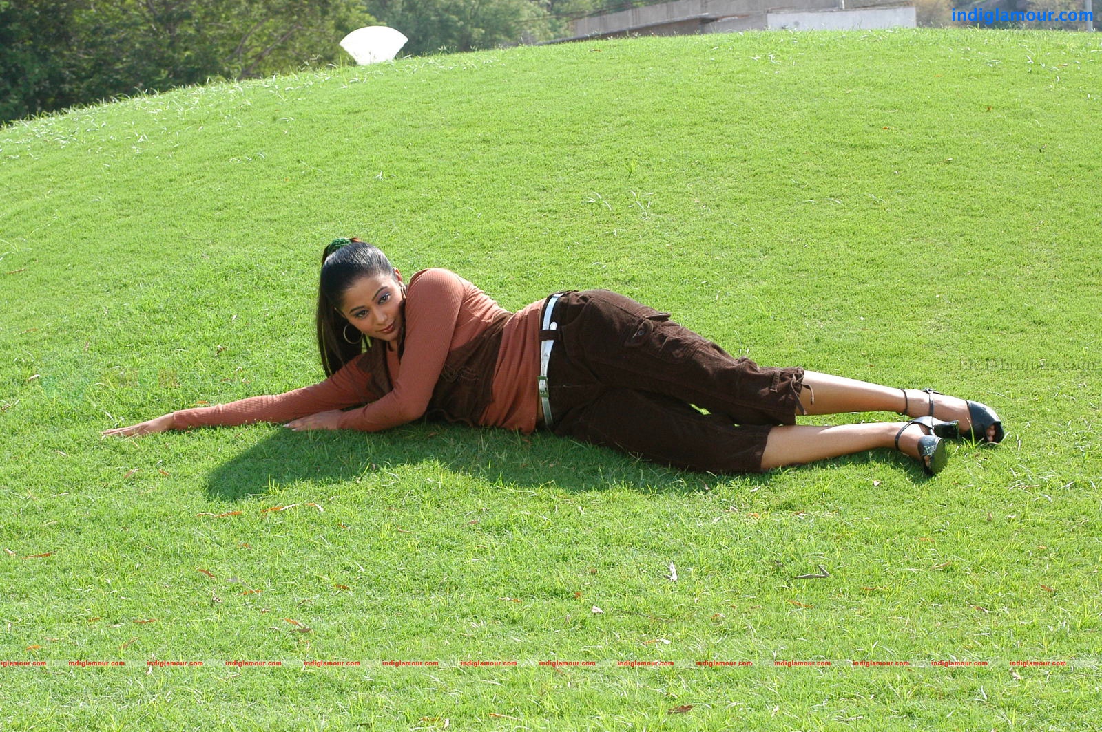 Priyamani Actress hd photo