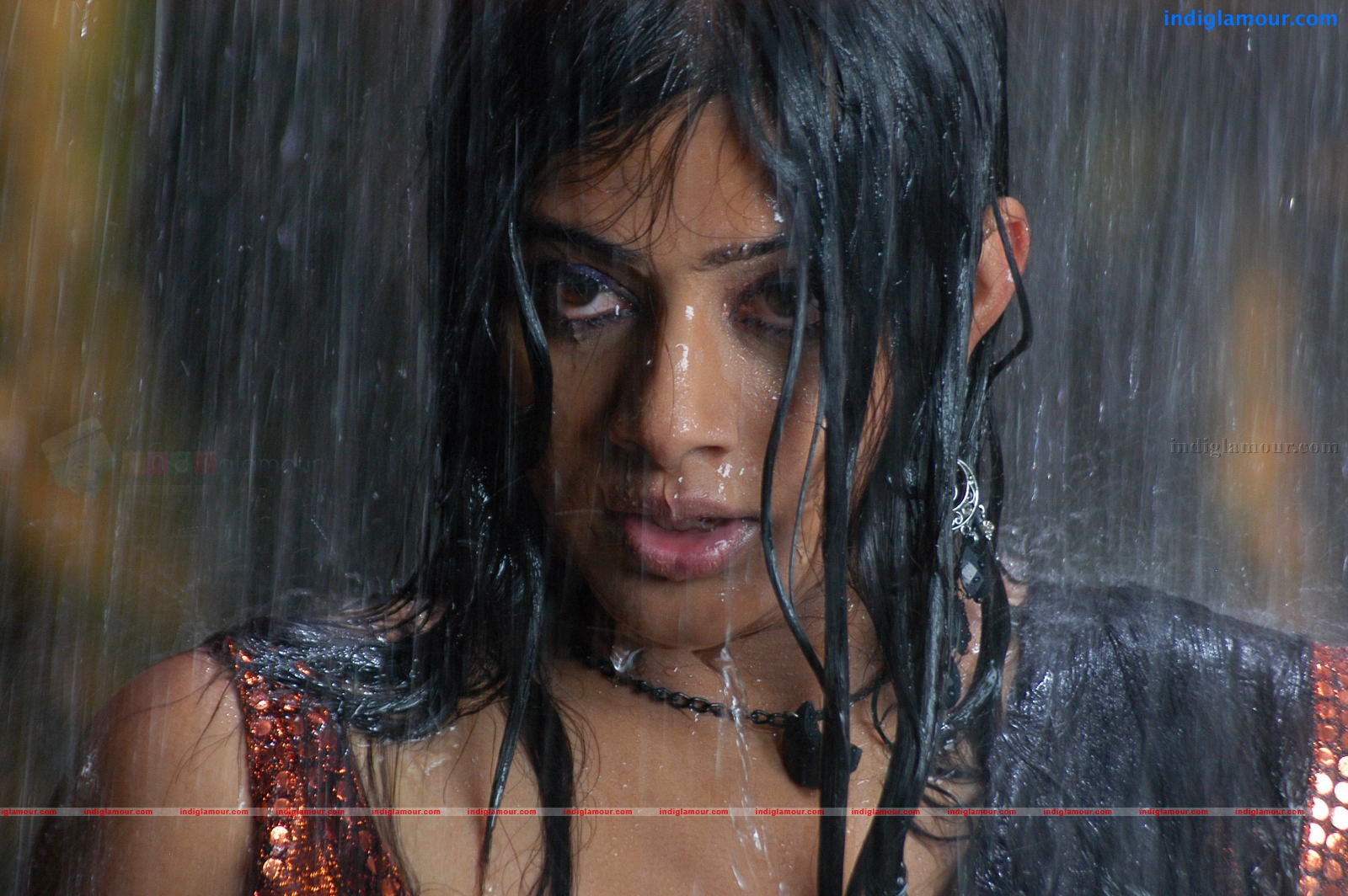 Priyamani Actress hd photo