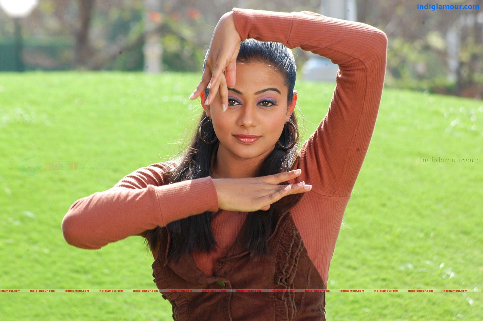 Priyamani Actress hd photo