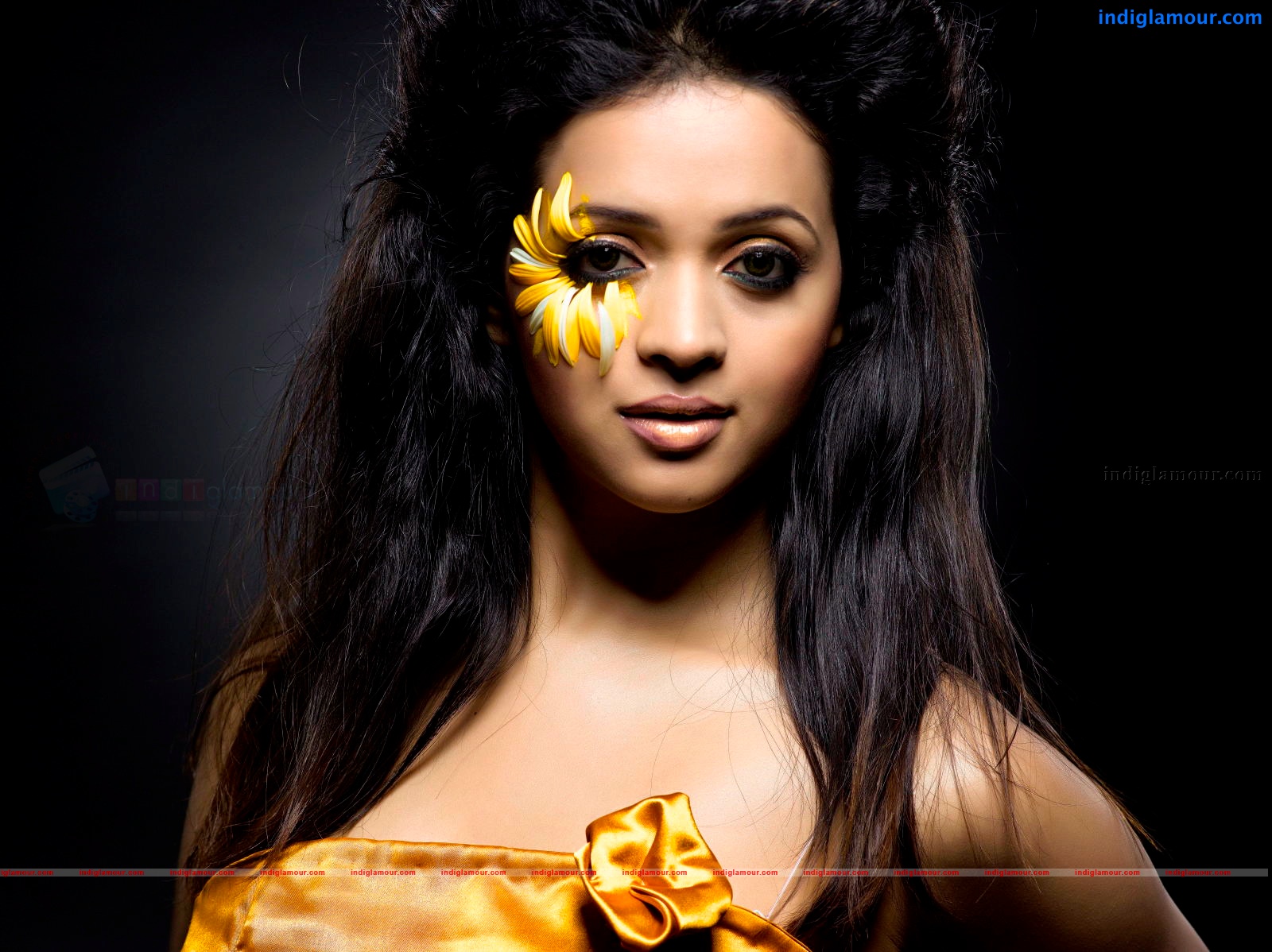 Bhavana Actress hd photo