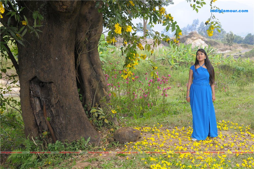 Meera Jasmine Actress hd photo