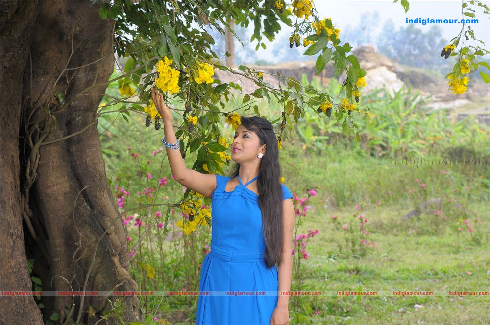 Meera Jasmine Actress hd photo