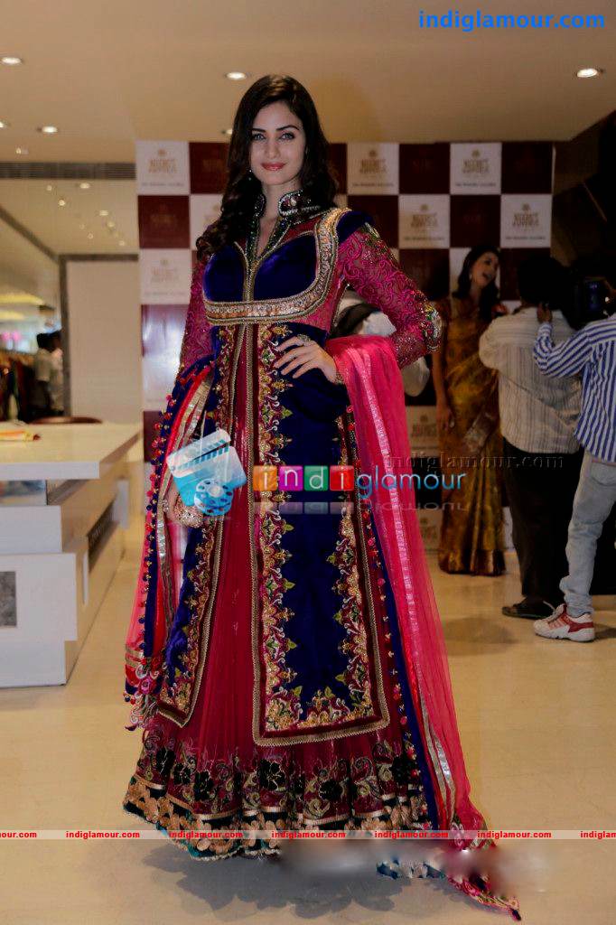 Gadriella Actress hd photo