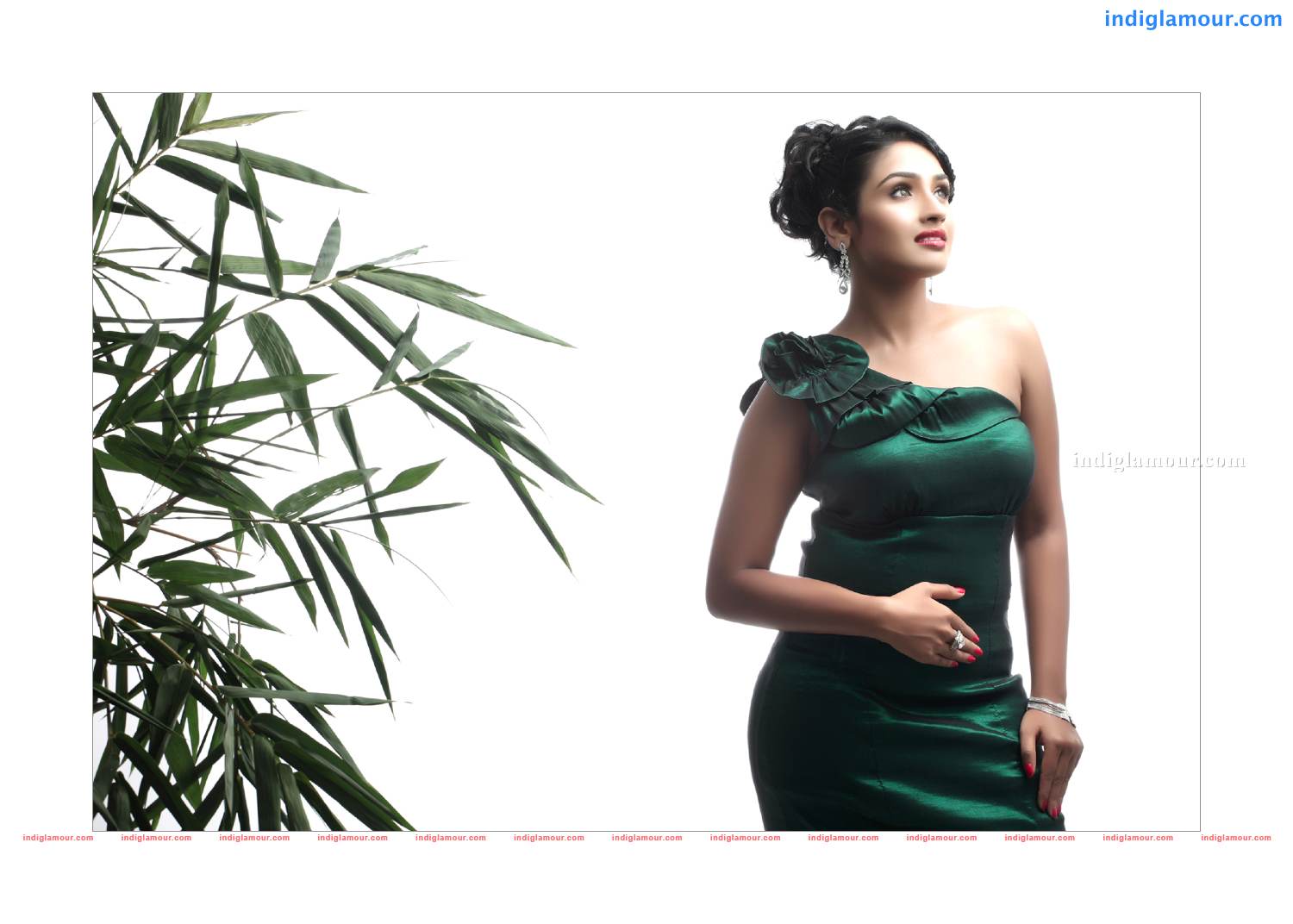 Vidya Actress hd photo