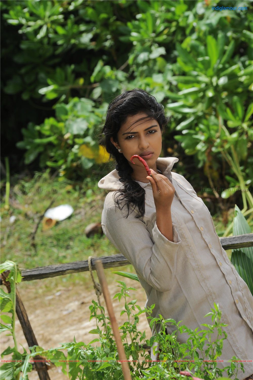 Amala Paul Actress hd photo