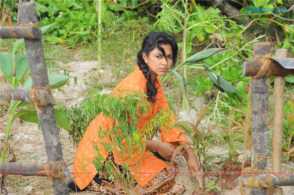 Amala Paul Actress hd photo