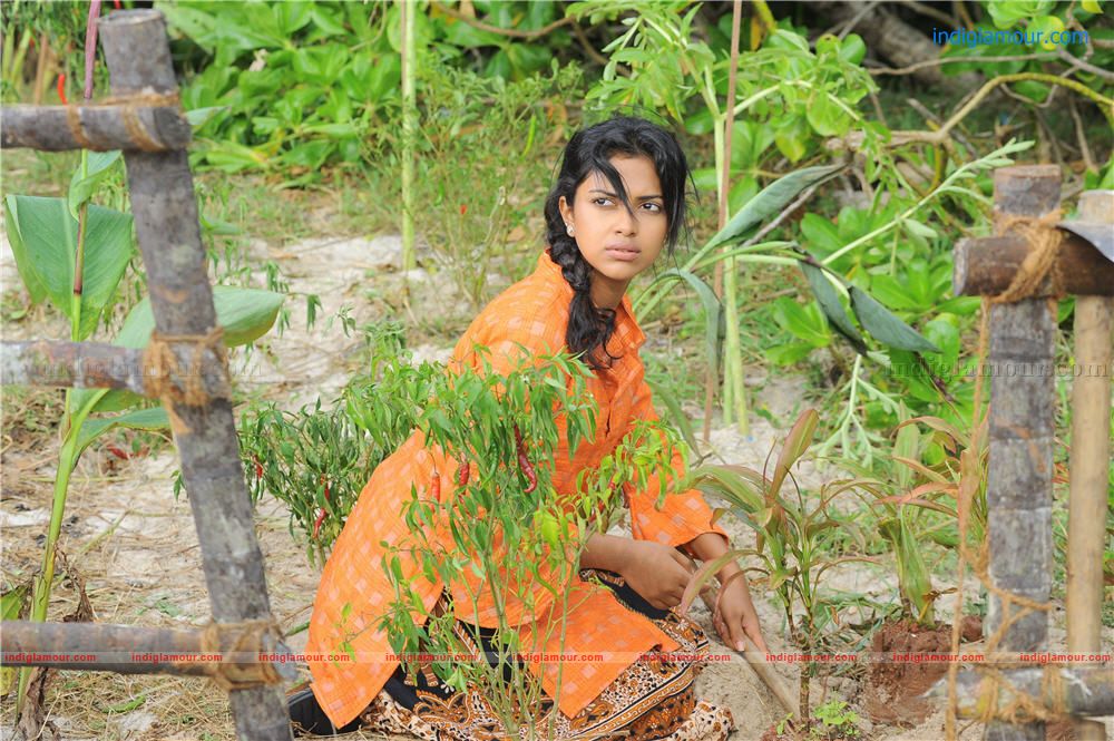 Amala Paul Actress hd photo
