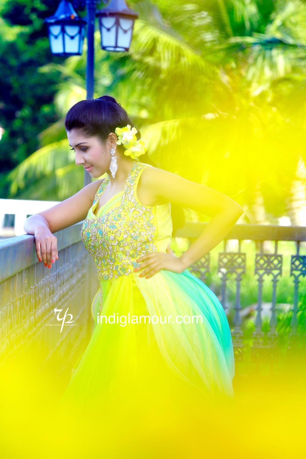 Rosin Jolly Actress hd photo