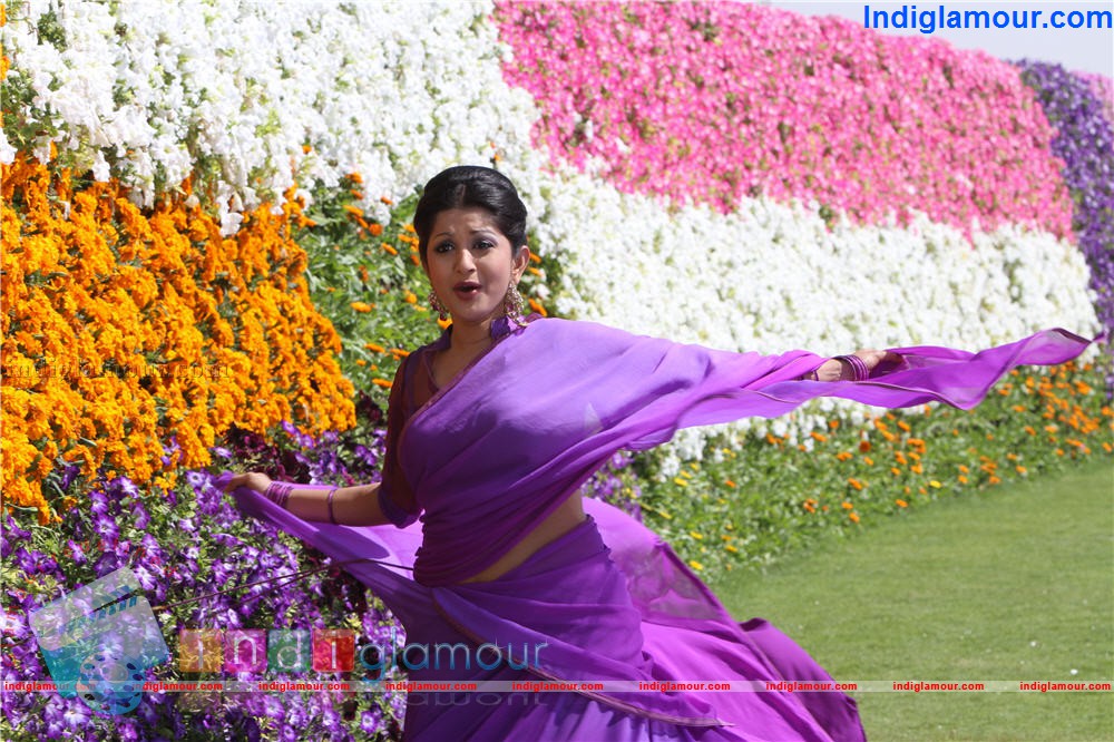 Meera Jasmine Actress hd photo