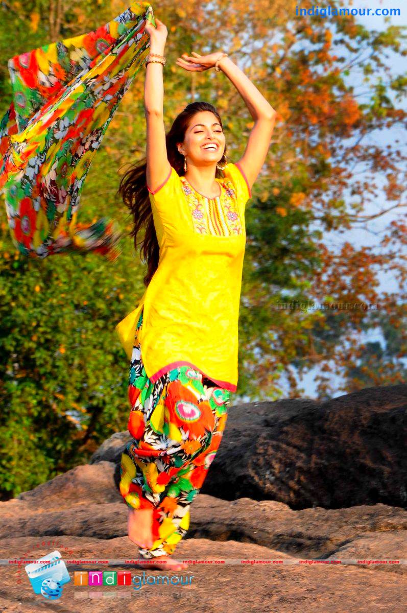Parvathy Omanakuttan Actress hd photo