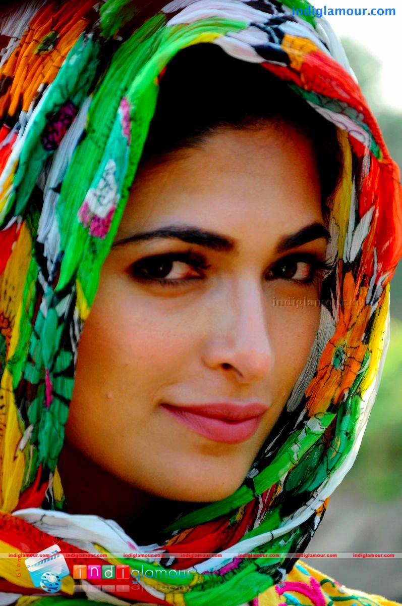 Parvathy Omanakuttan Actress hd photo