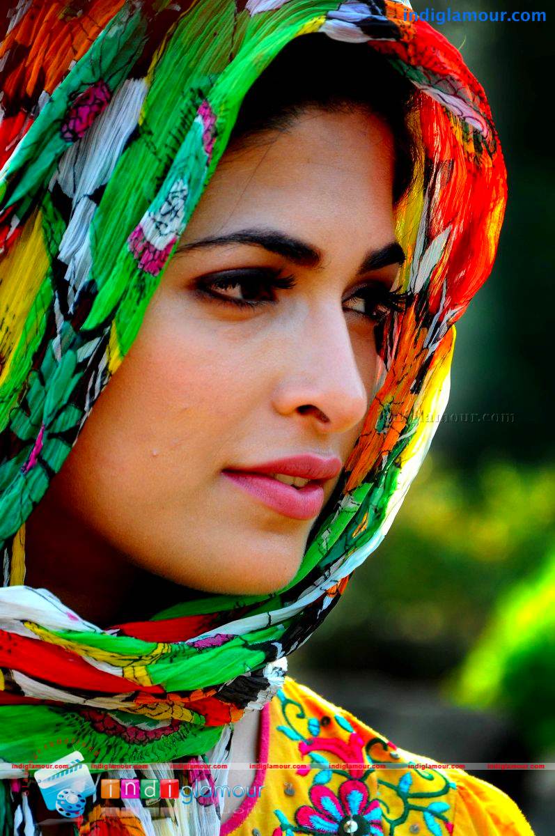Parvathy Omanakuttan Actress hd photo