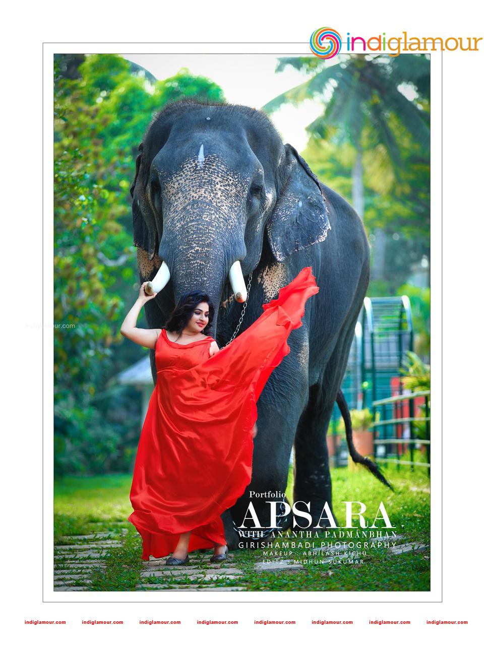 Apsara Actress hd photo