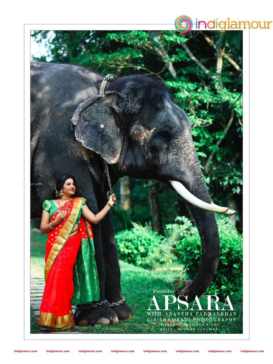 Apsara Actress hd photo