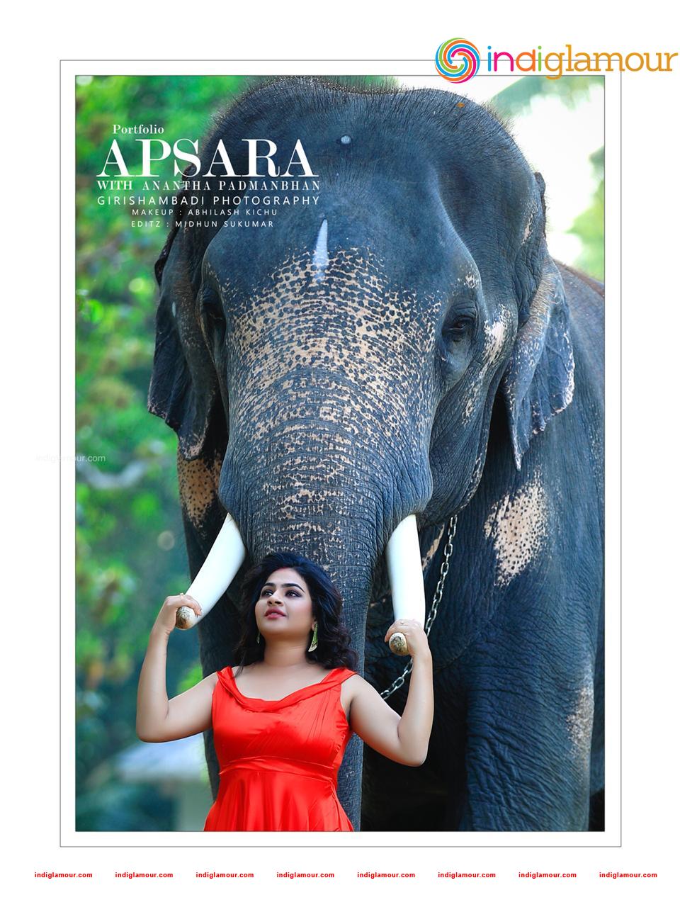 Apsara Actress hd photo
