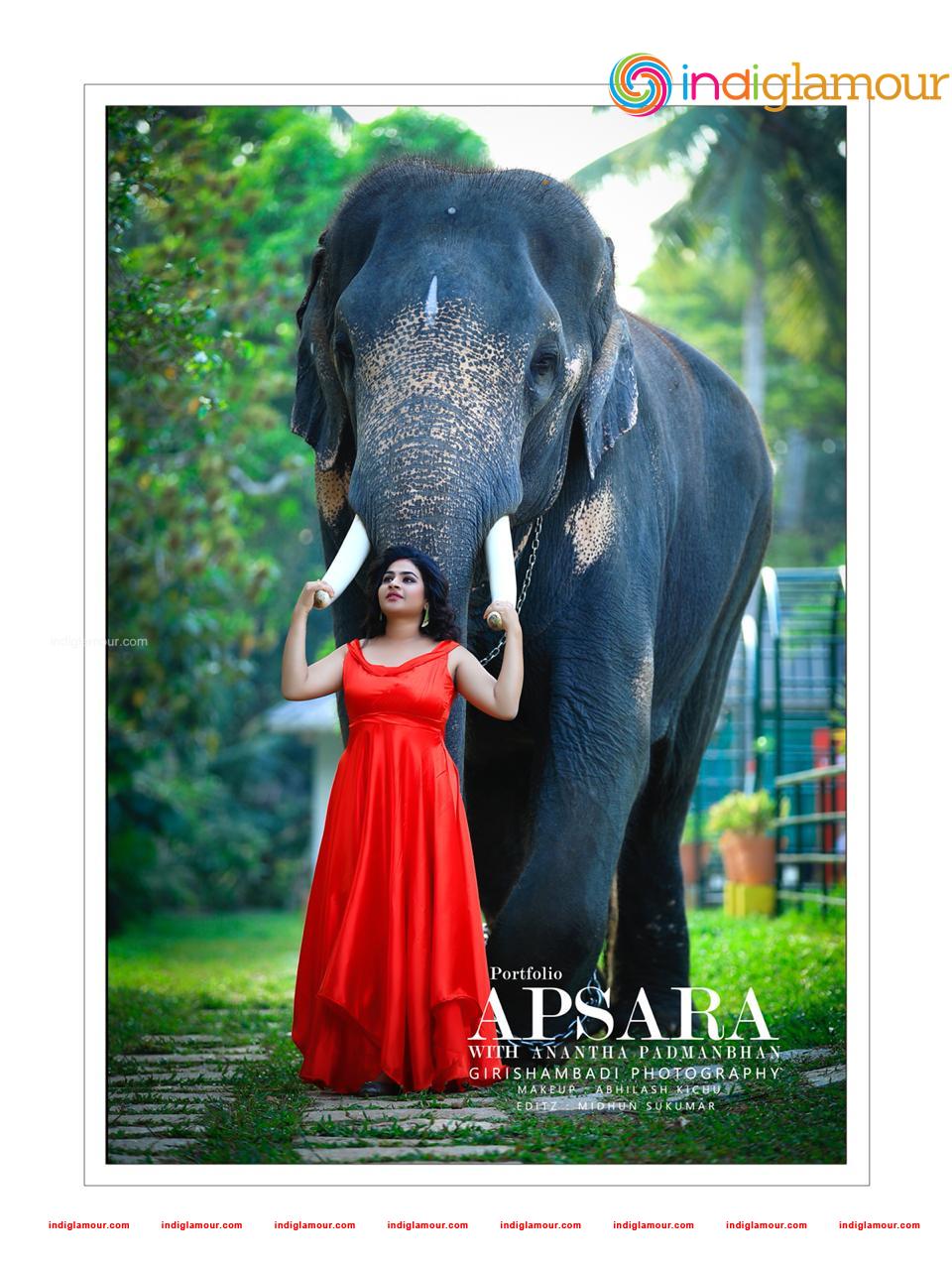 Apsara Actress hd photo