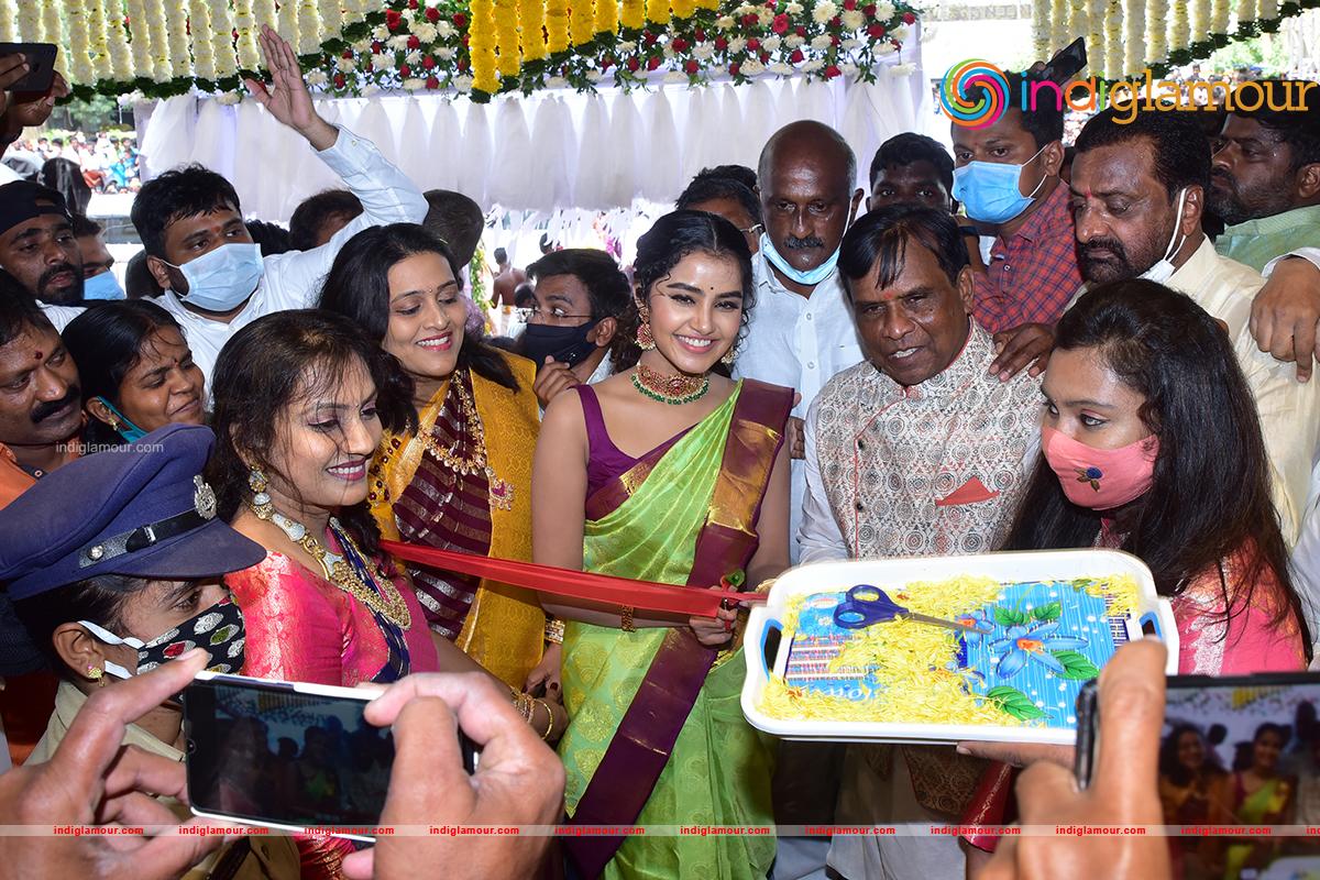 Anupama Parameswaran Actress hd photo