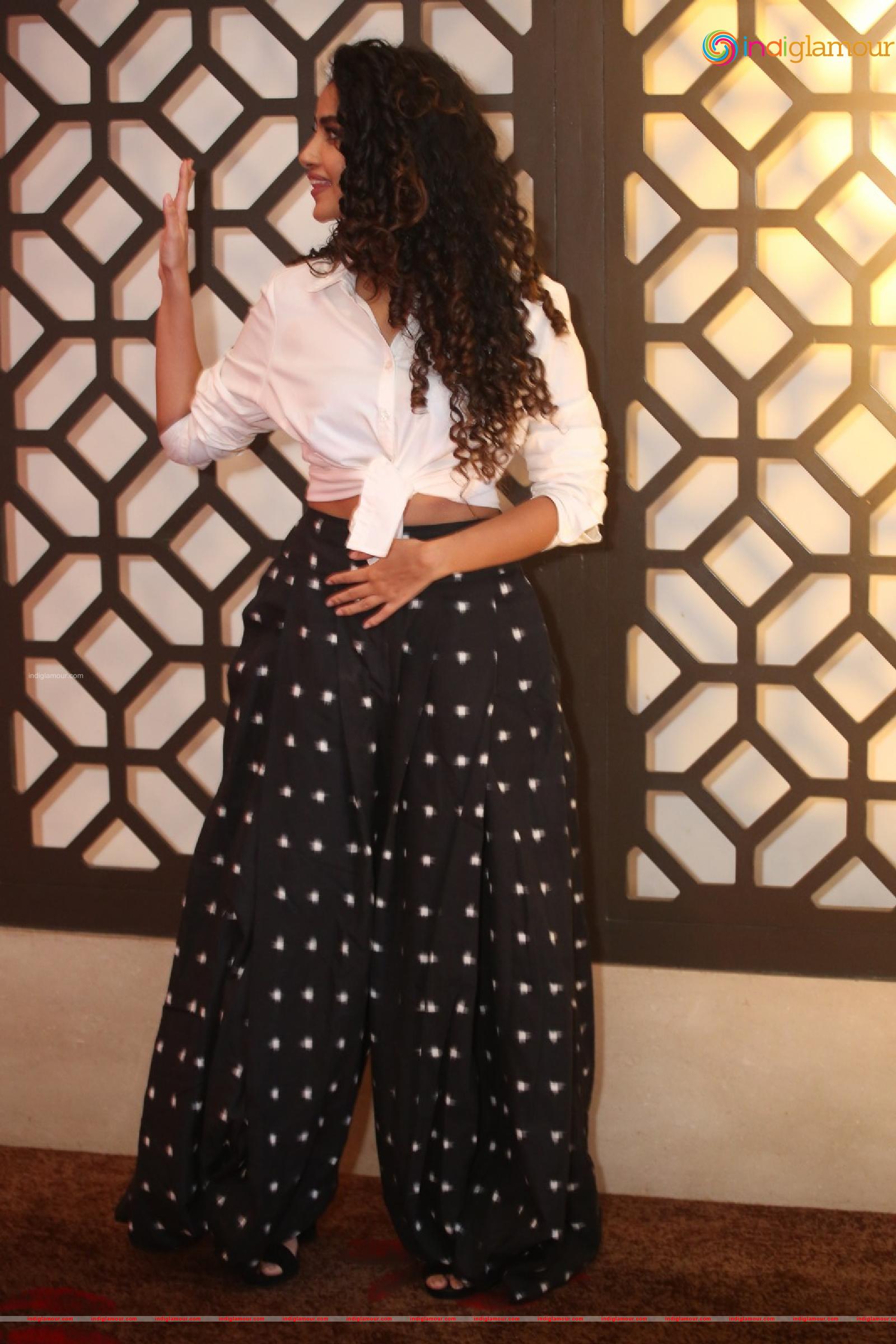 Anupama Parameswaran Actress hd photo
