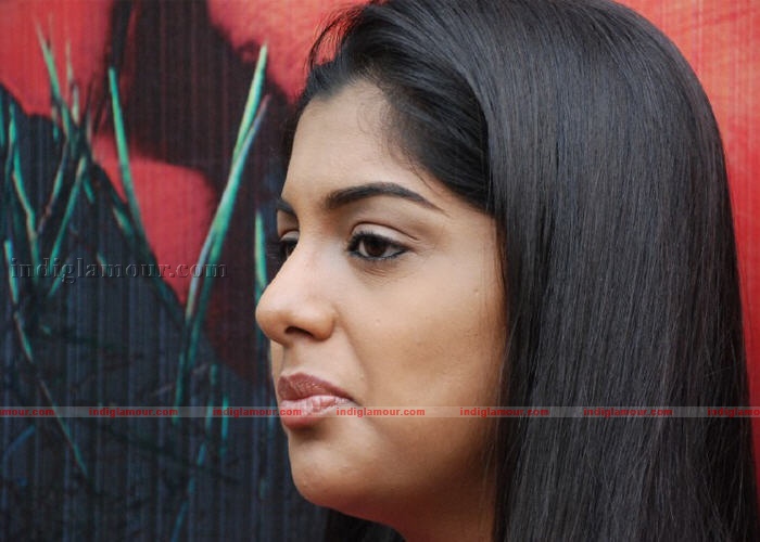 Meera Nandan Actress hd photo