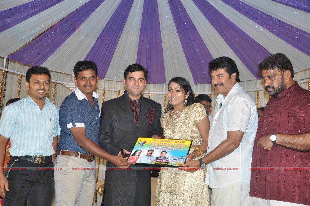 Actress Navya Nair's Wedding Reception Event hd photo