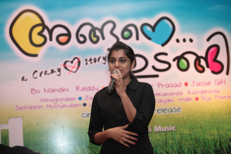 Ala Modalaindi Movie Audio Launch Photos Event hd photo