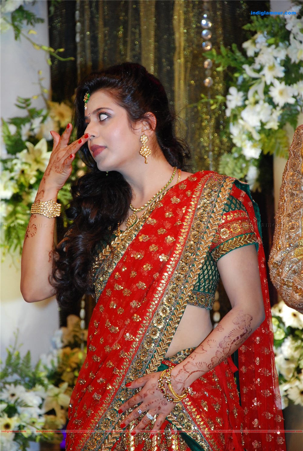 Prithviraj's wedding reception Event hd photo