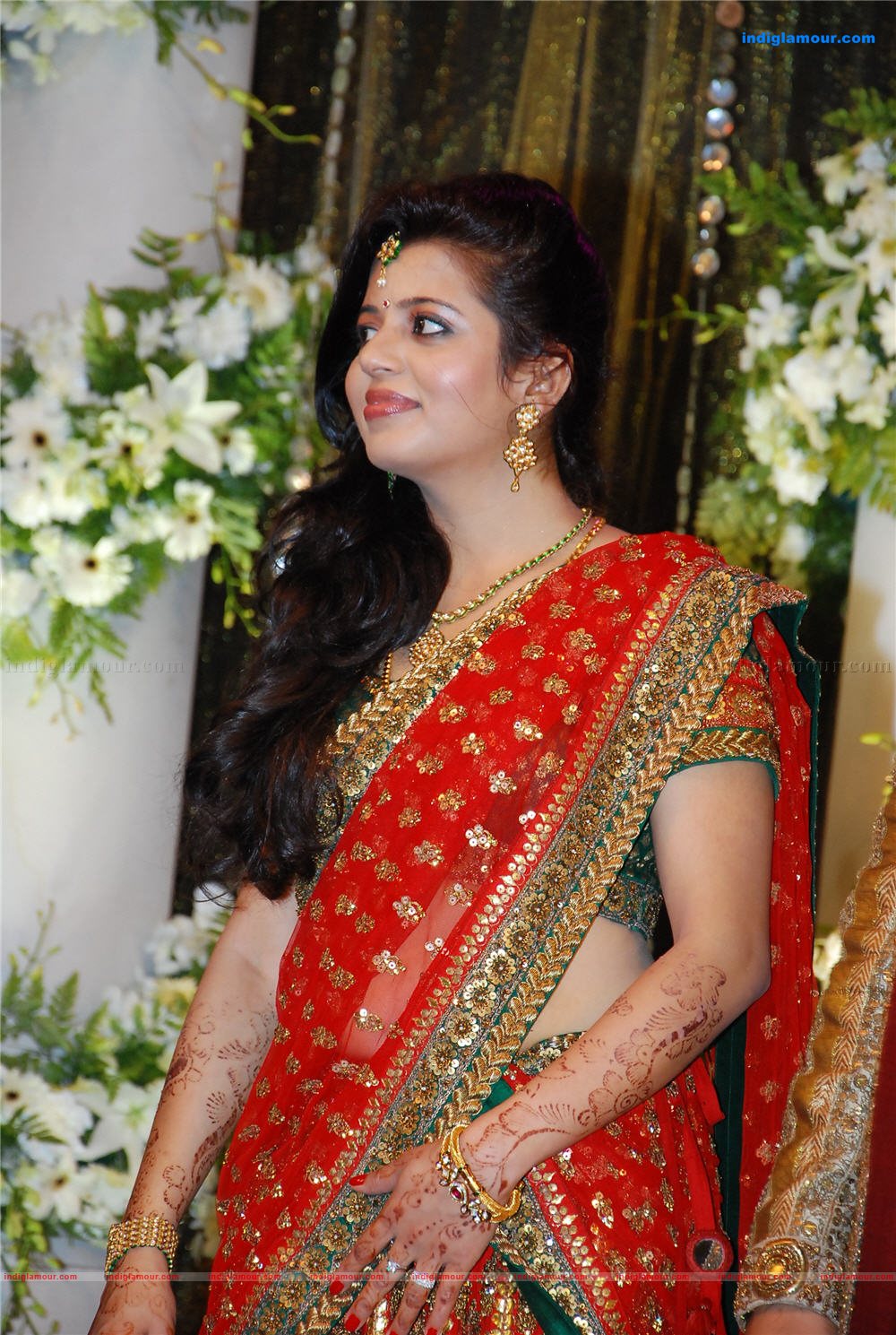 Prithviraj's wedding reception Event hd photo