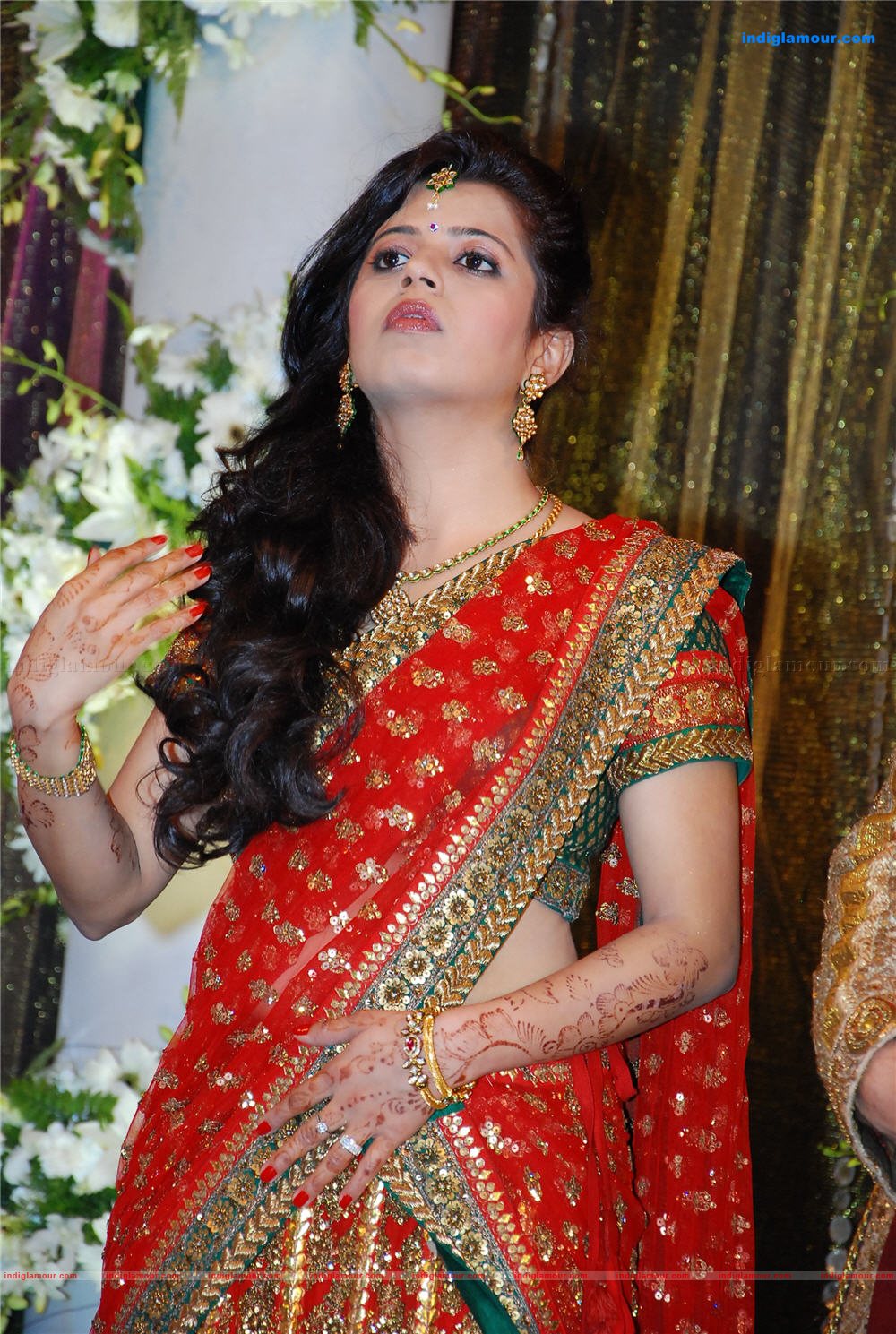 Prithviraj's wedding reception Event hd photo