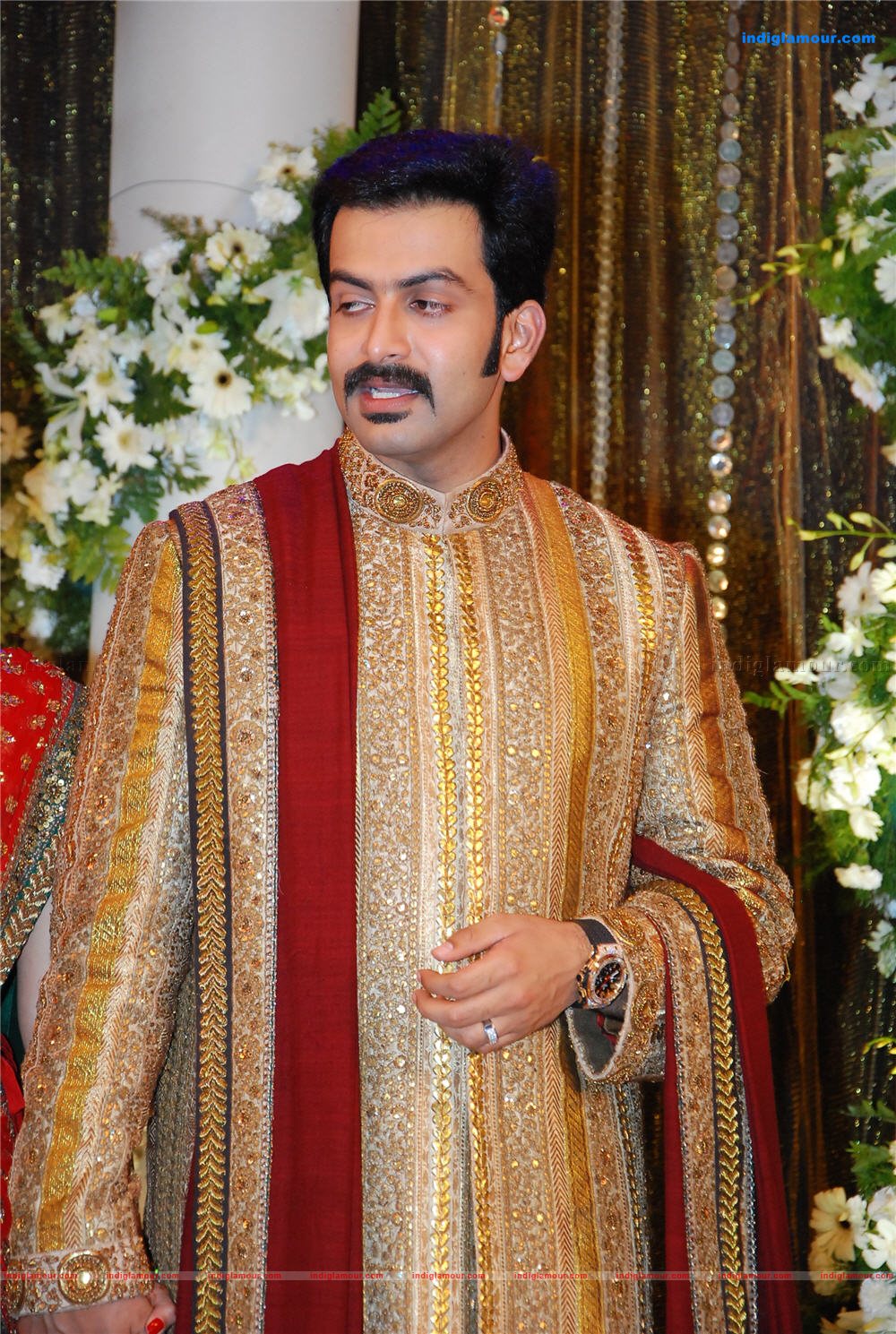 Prithviraj's wedding reception Event hd photo