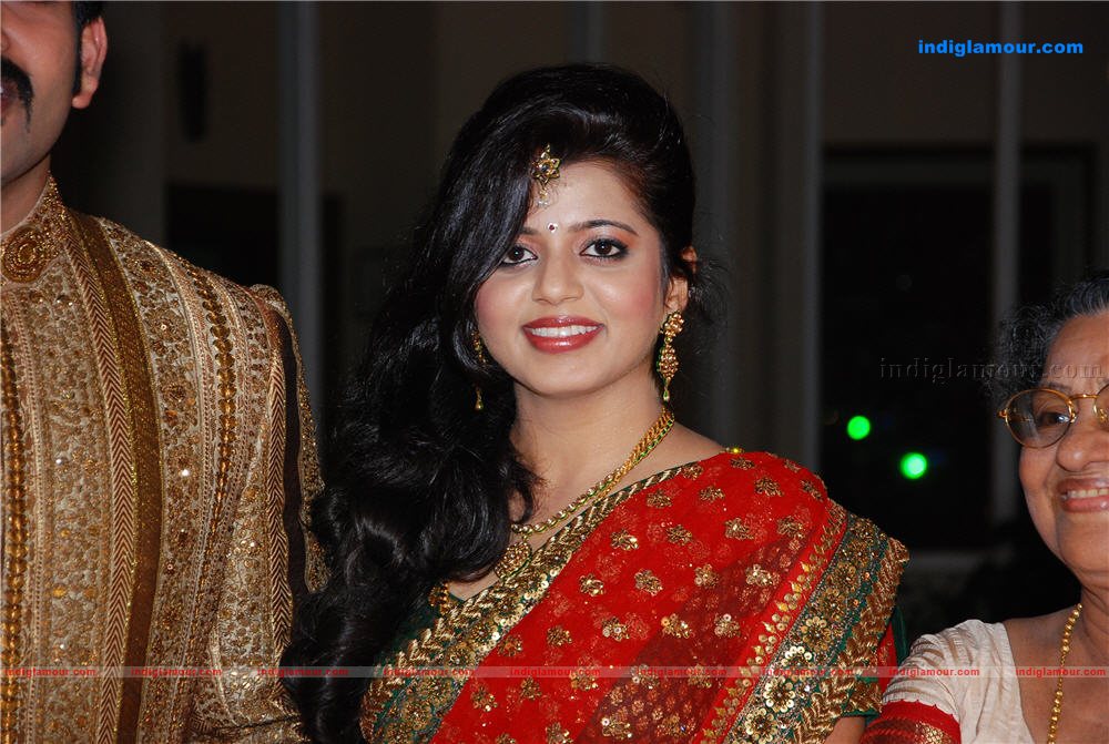 Prithviraj's wedding reception Event hd photo