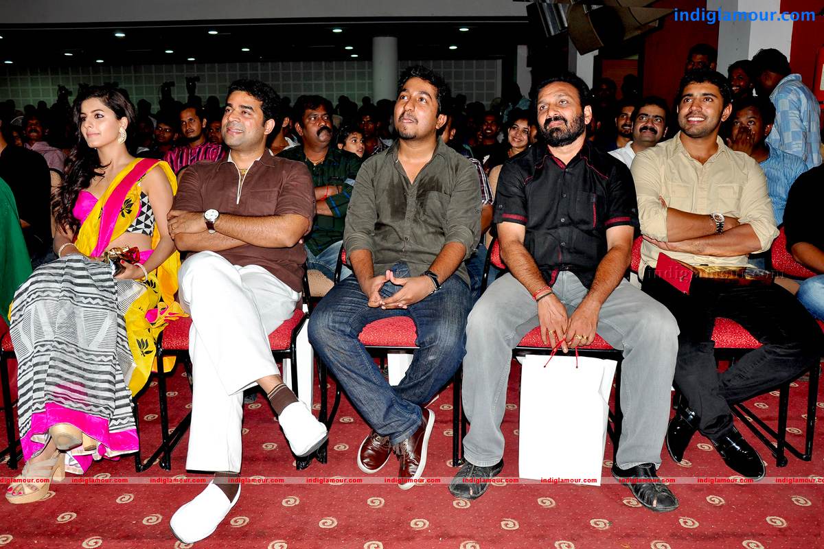 Thattathin Marayathu 100 Days Celebration Event hd photo