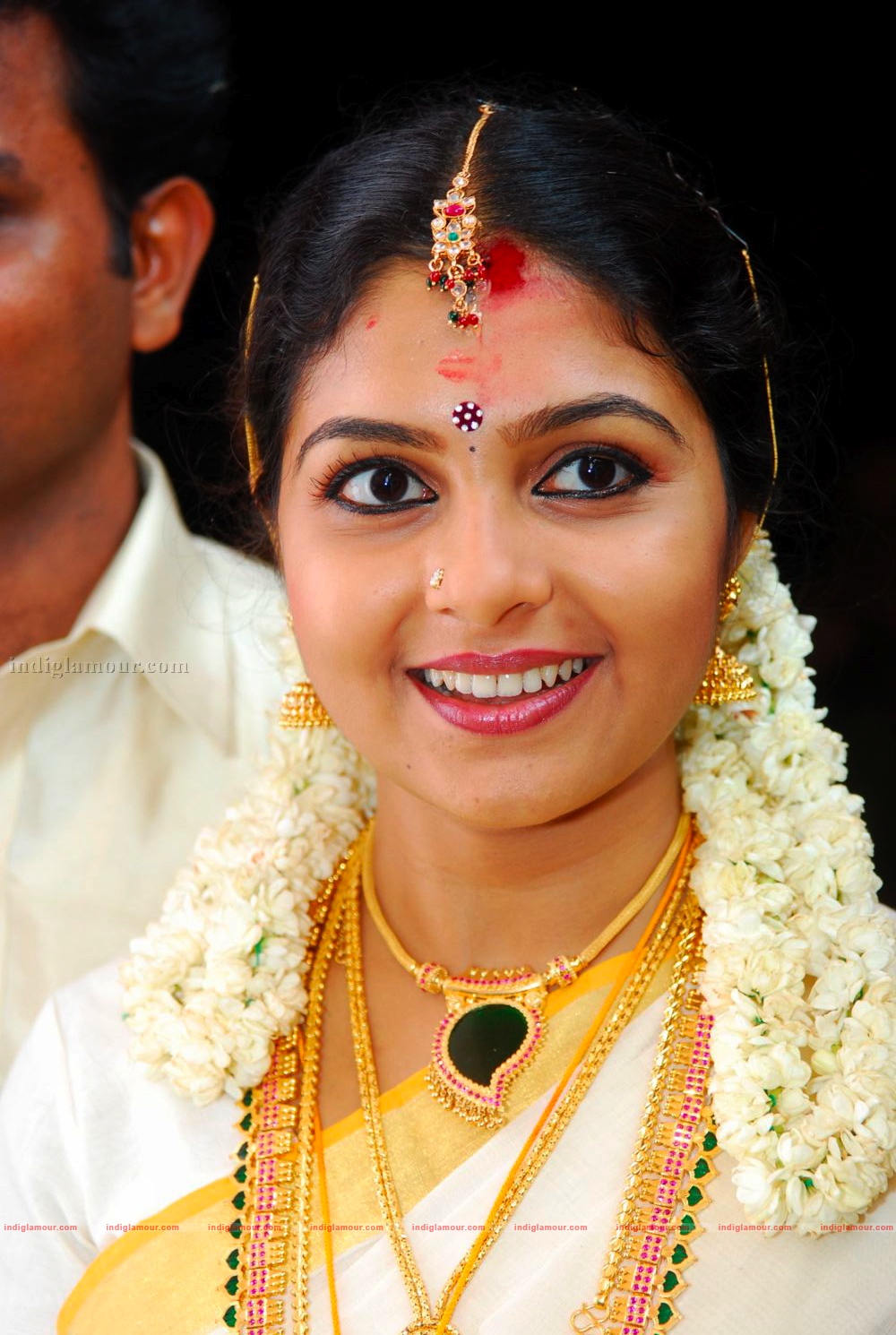 Actress Ambili Devi's Wedding Event hd photo