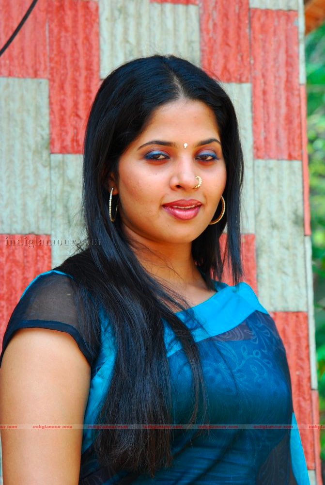 Actress Ambili Devi's Wedding Event hd photo
