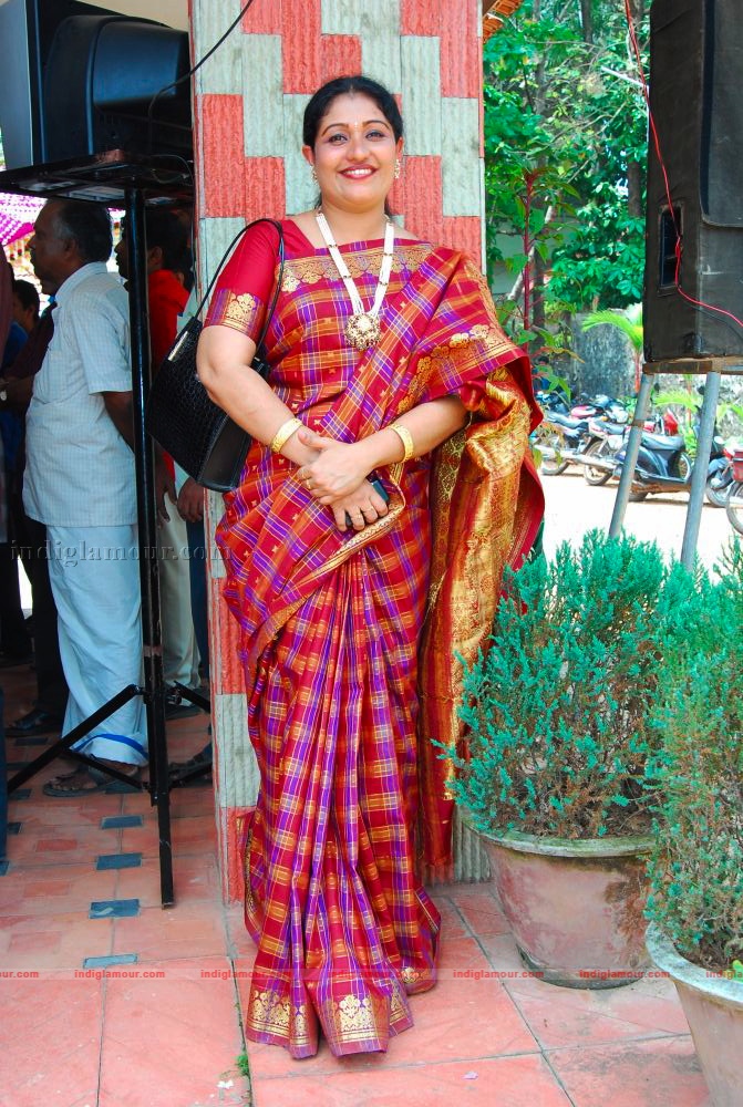 Actress Ambili Devi's Wedding Event hd photo