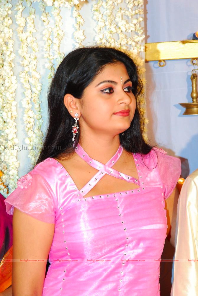 Actress Ambili Devi's Wedding Event hd photo