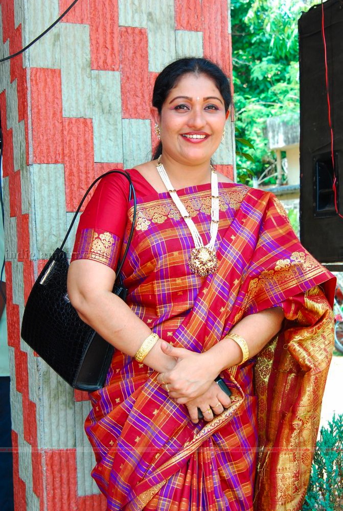 Actress Ambili Devi's Wedding Event hd photo