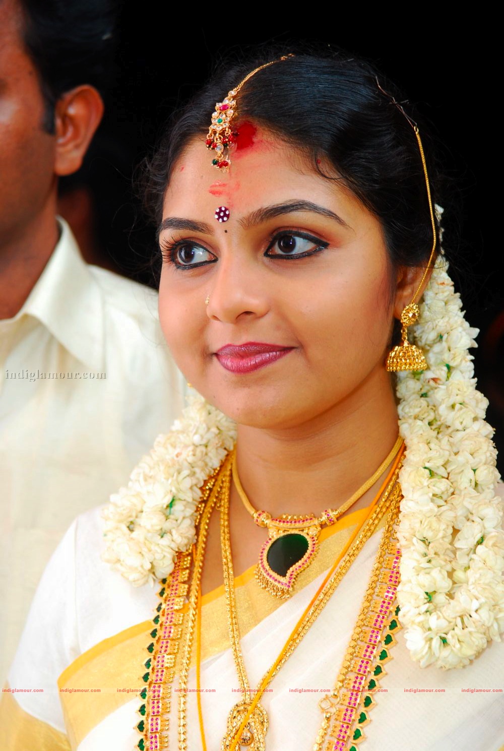 Actress Ambili Devi's Wedding Event hd photo