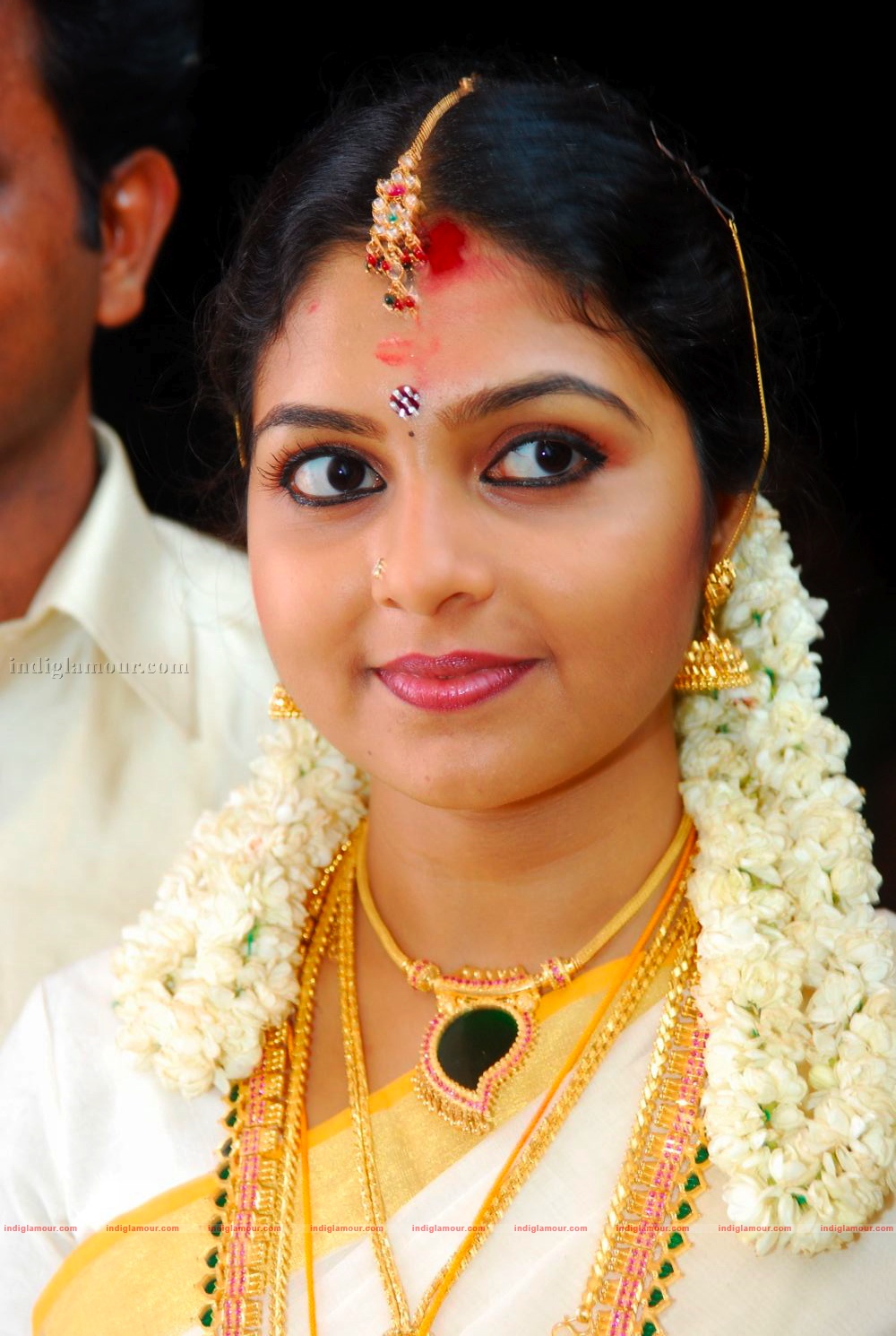 Actress Ambili Devi's Wedding Event hd photo