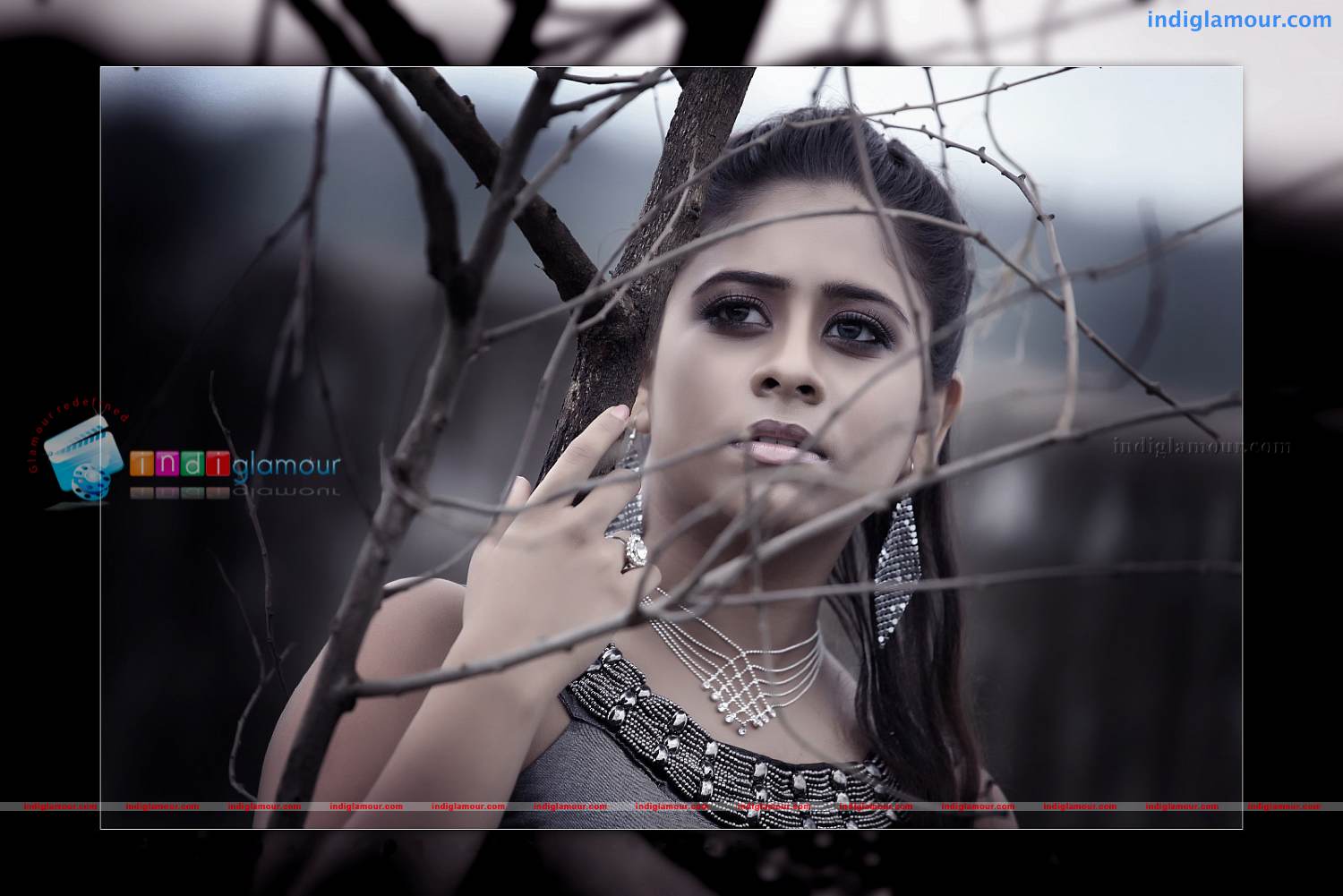 Priyalal Actress hd photo