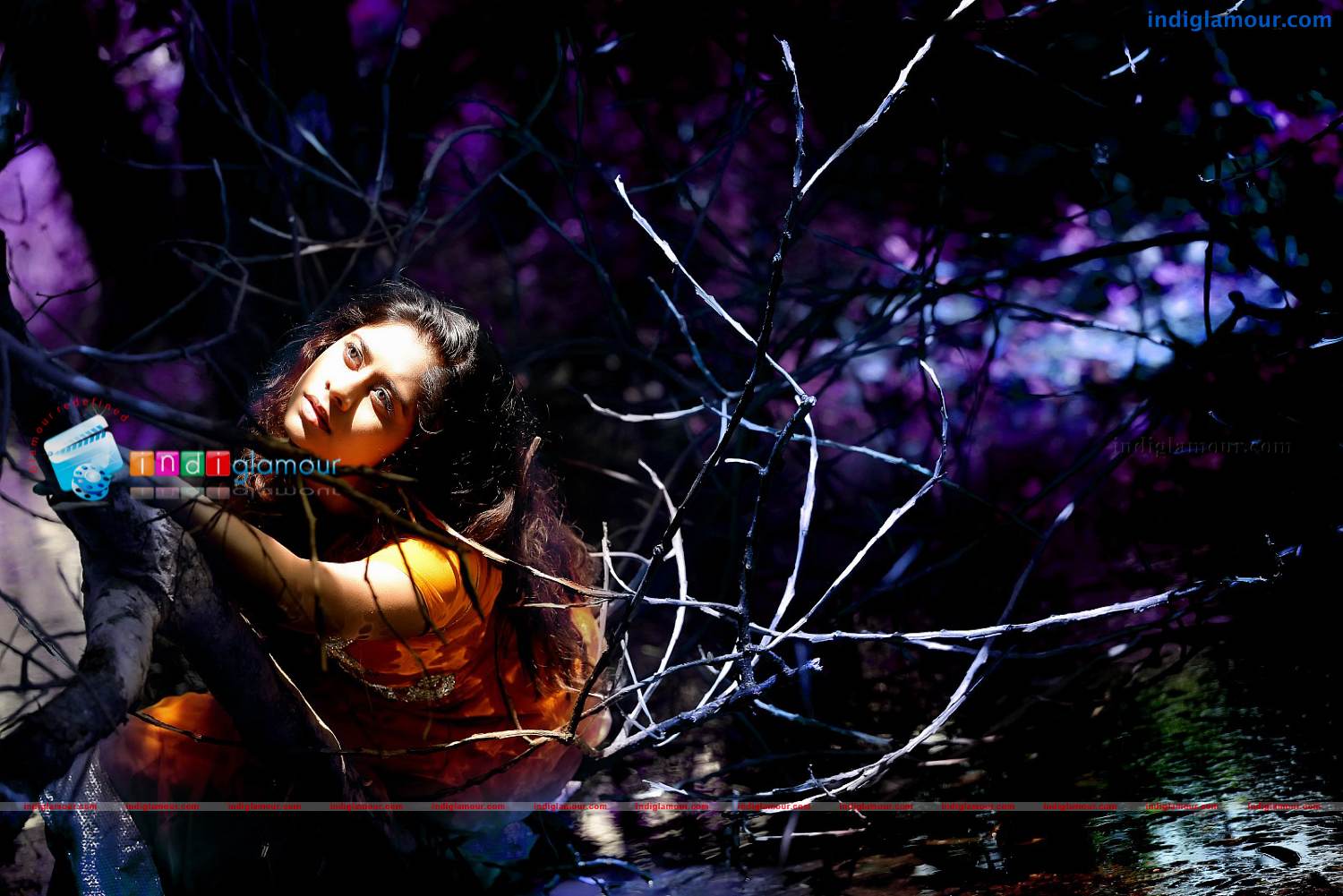 Priyalal Actress hd photo