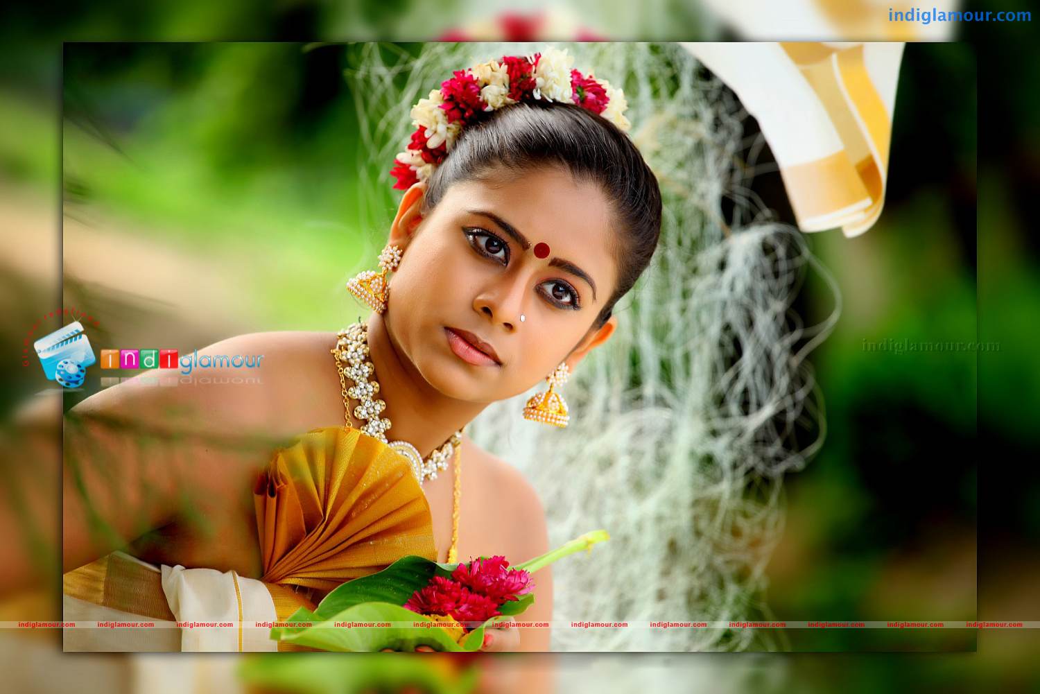 Priyalal Actress hd photo
