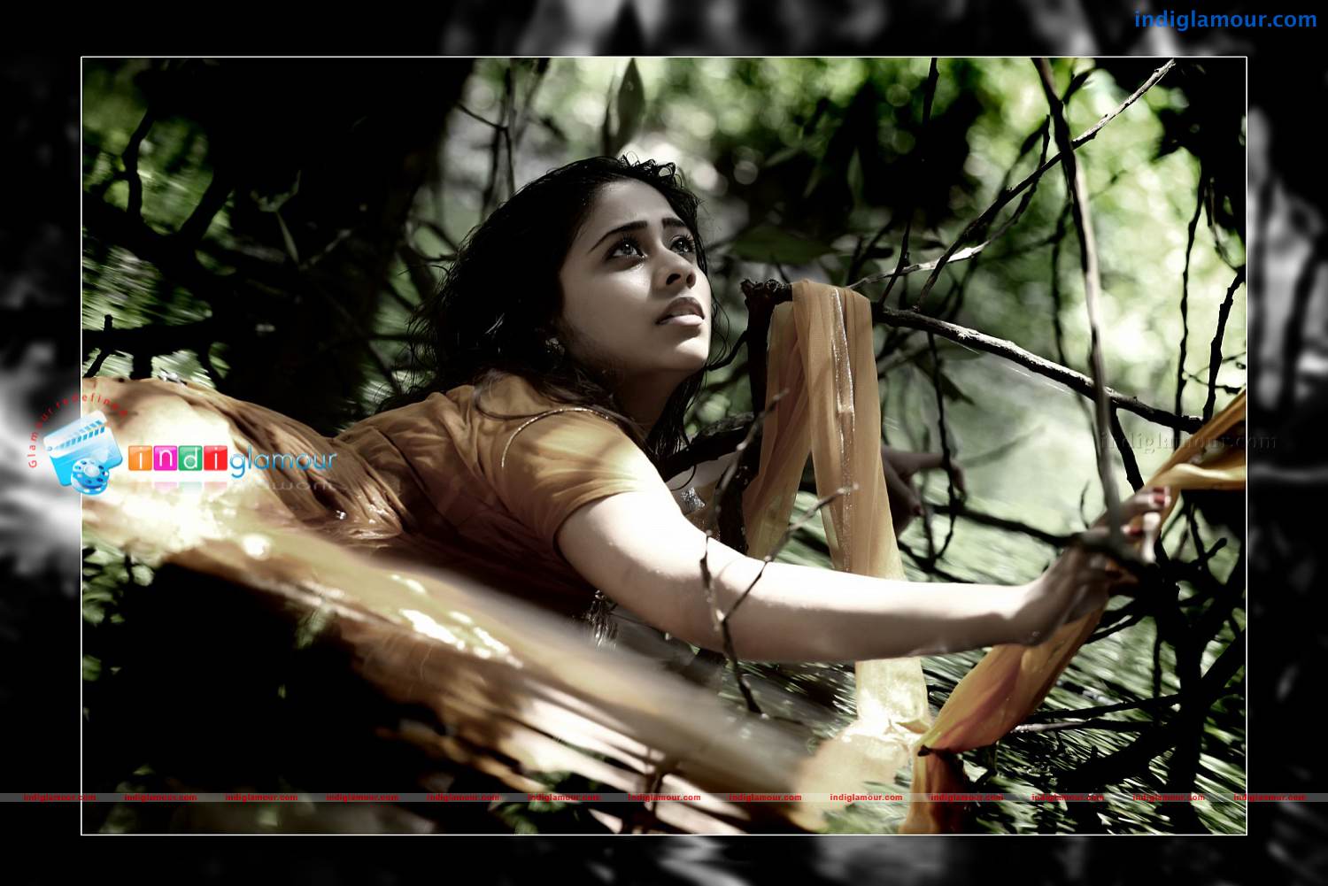Priyalal Actress hd photo