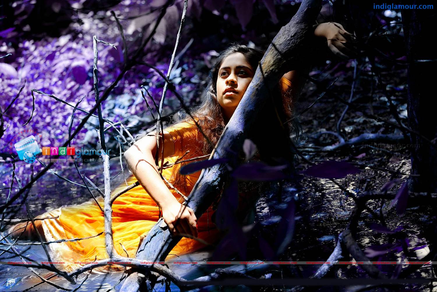 Priyalal Actress hd photo