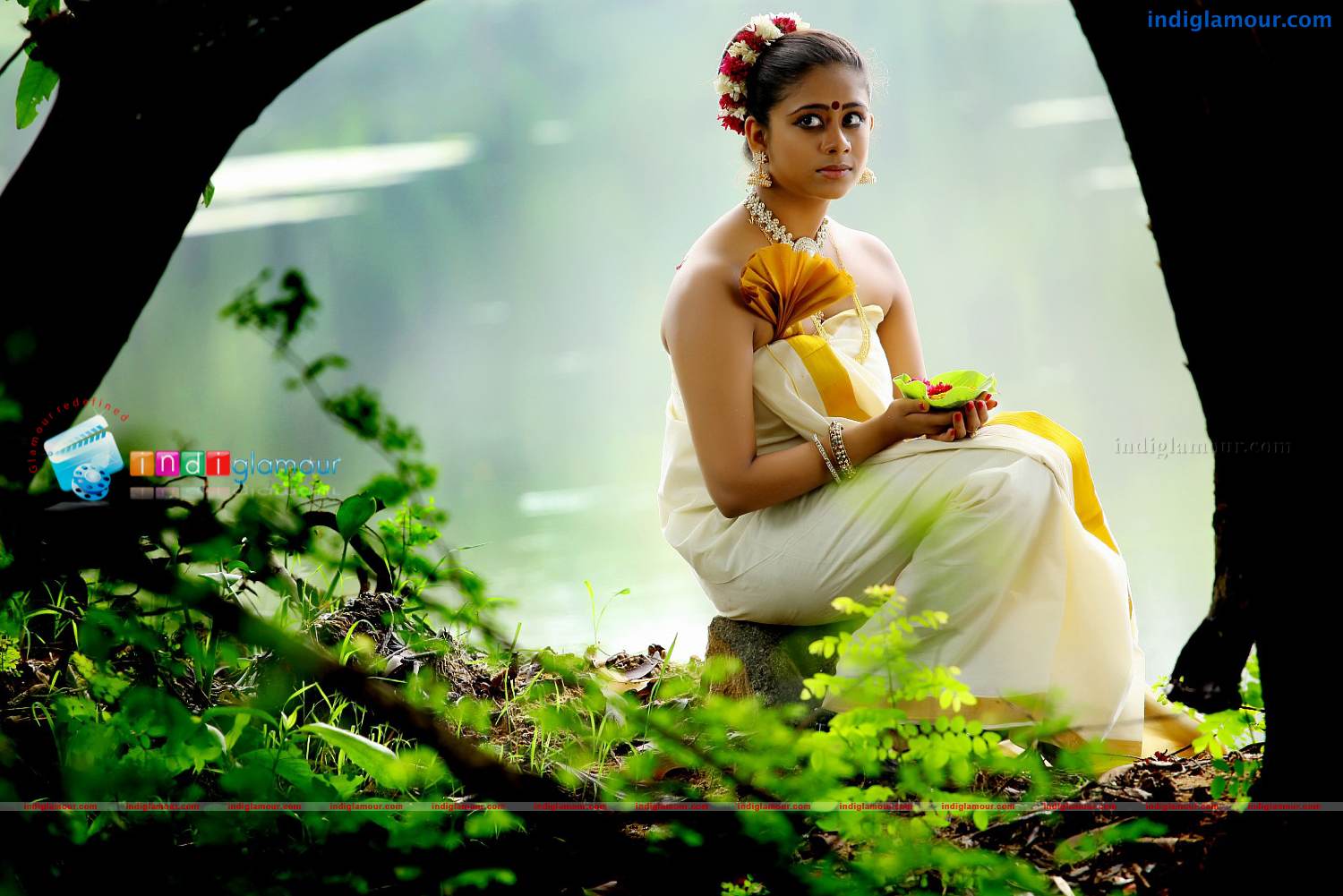 Priyalal Actress hd photo