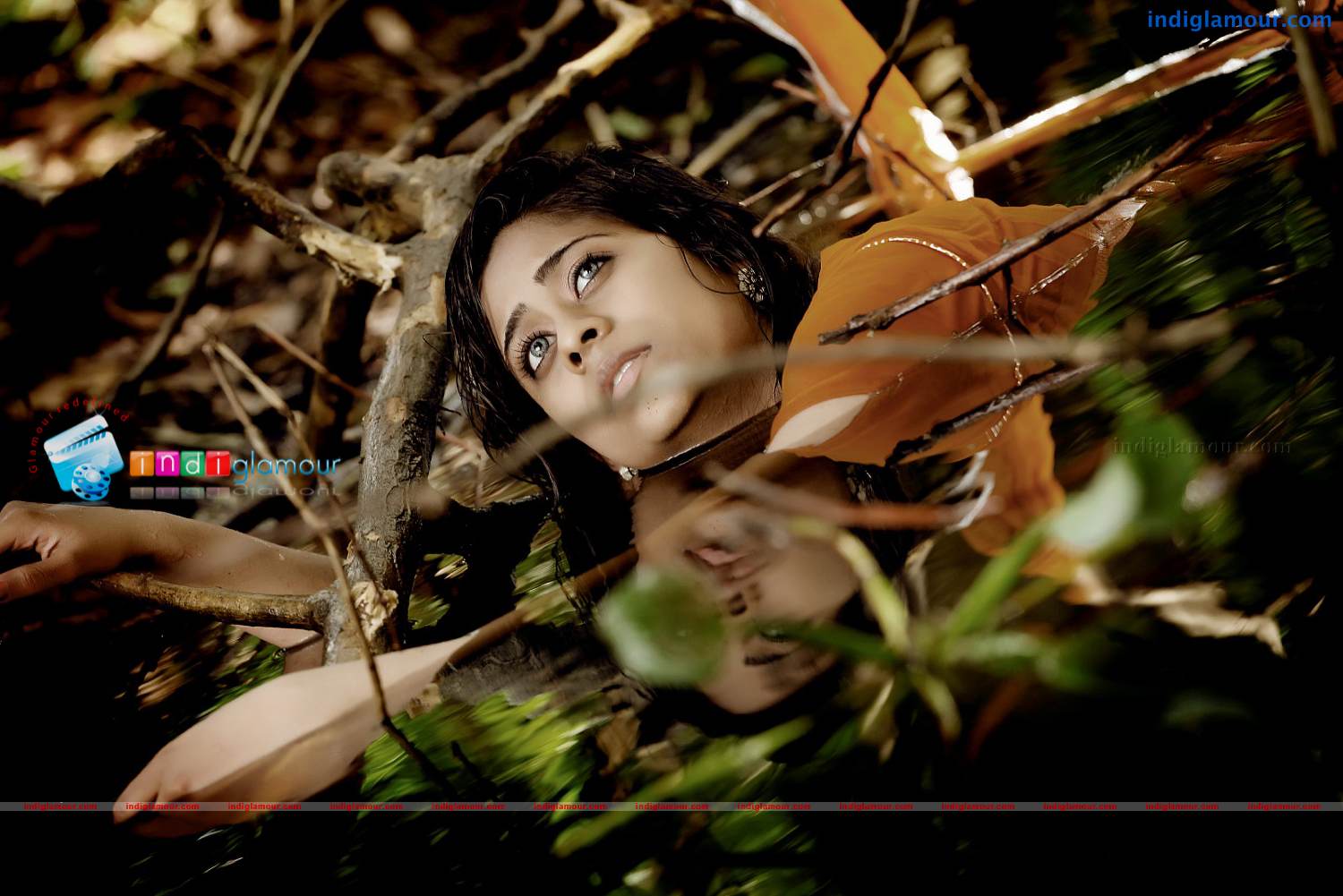 Priyalal Actress hd photo