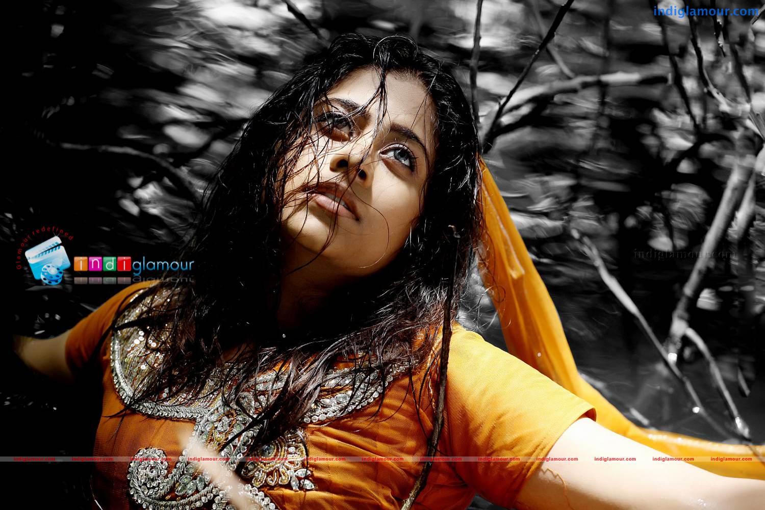 Priyalal Actress hd photo