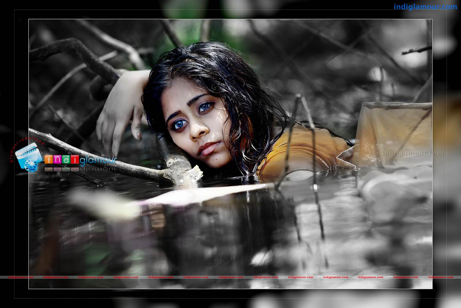 Priyalal Actress hd photo