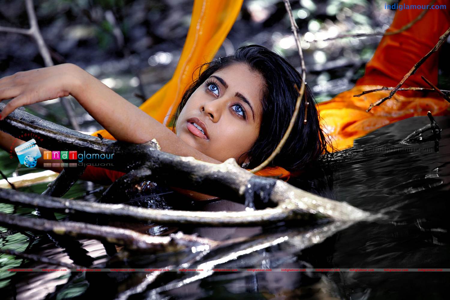 Priyalal Actress hd photo