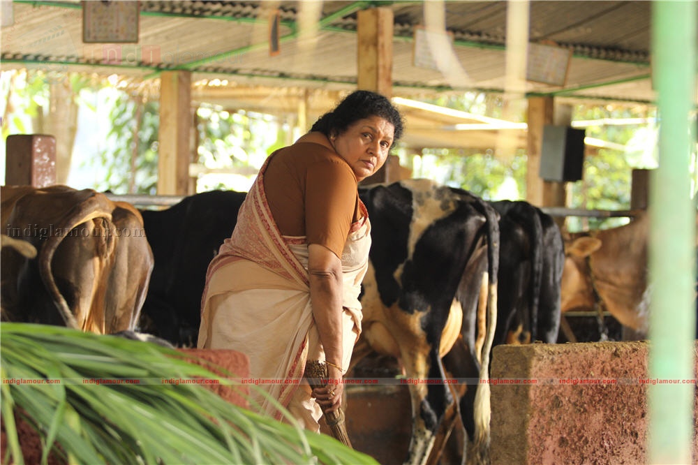 Ividum Swargam Aanu Movie hd photo